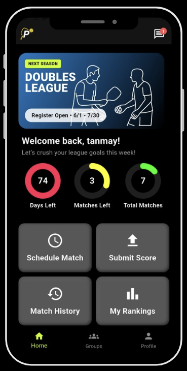 PickleFlex App Screen 1